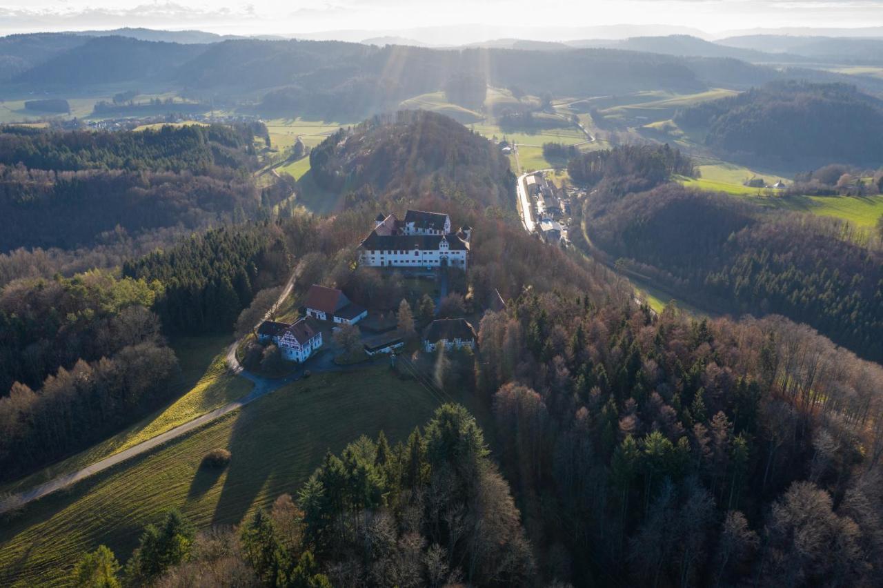Hotel & Tagungszentrum Schloss Hohenfels Hohenfels  외부 사진