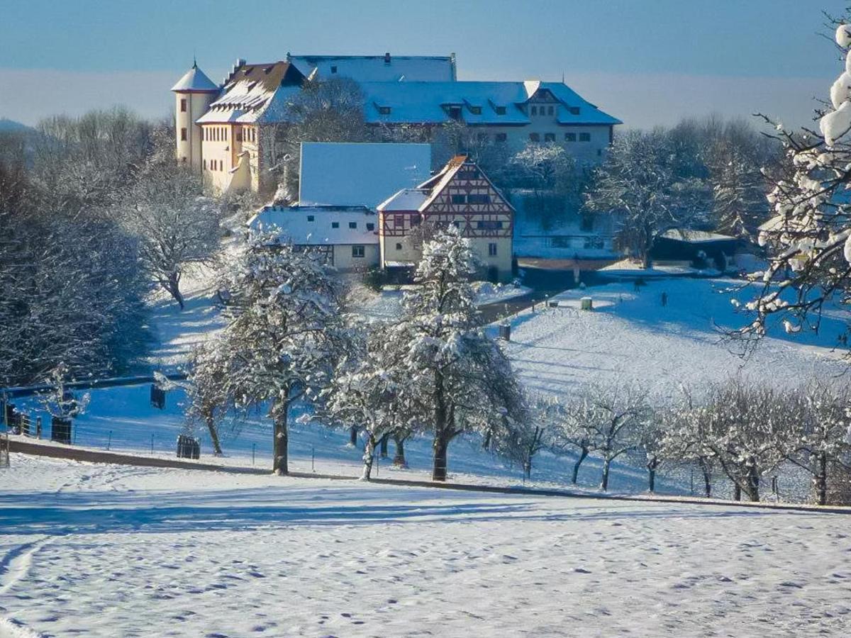 Hotel & Tagungszentrum Schloss Hohenfels Hohenfels  외부 사진