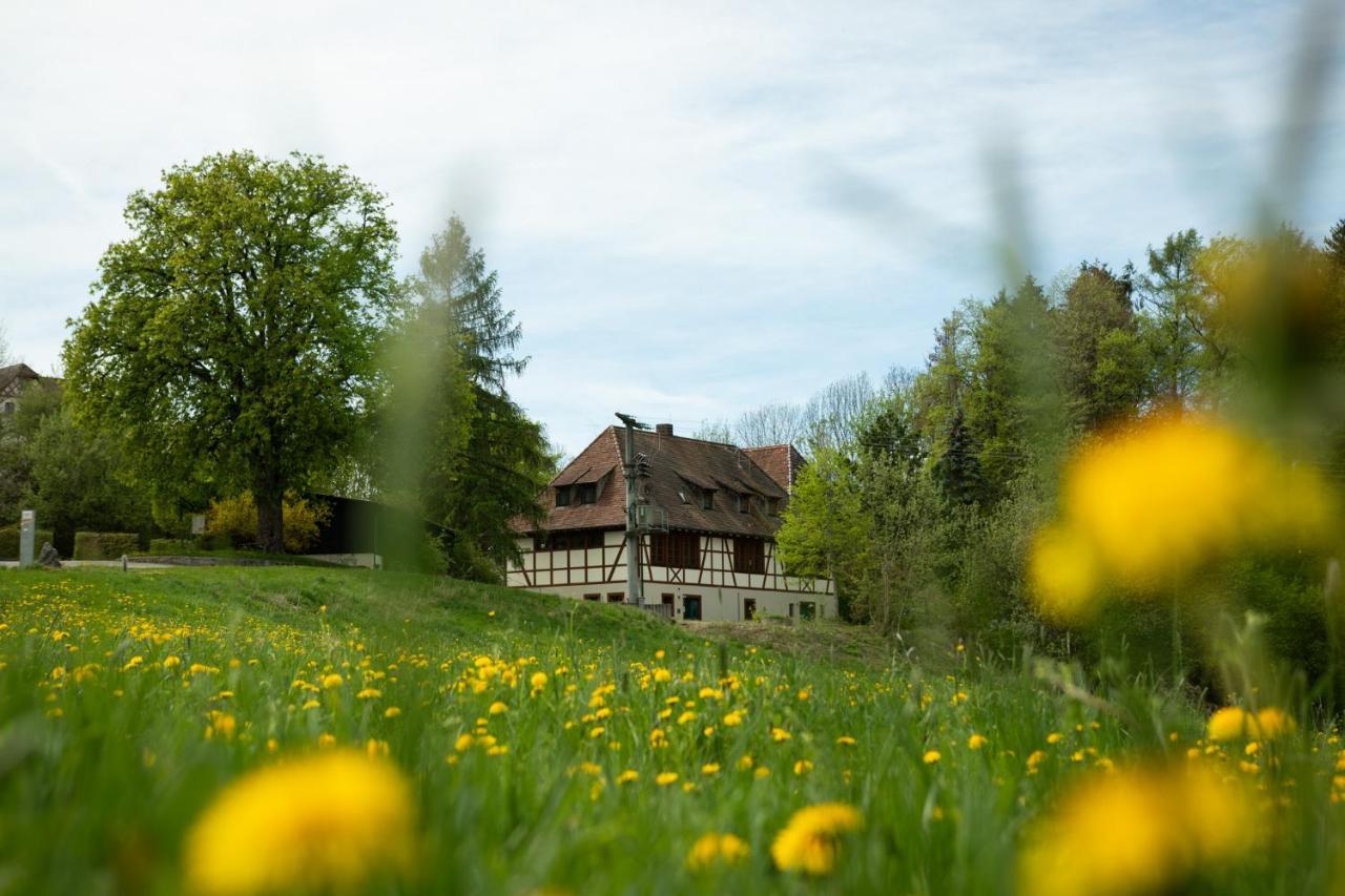 Hotel & Tagungszentrum Schloss Hohenfels Hohenfels  외부 사진
