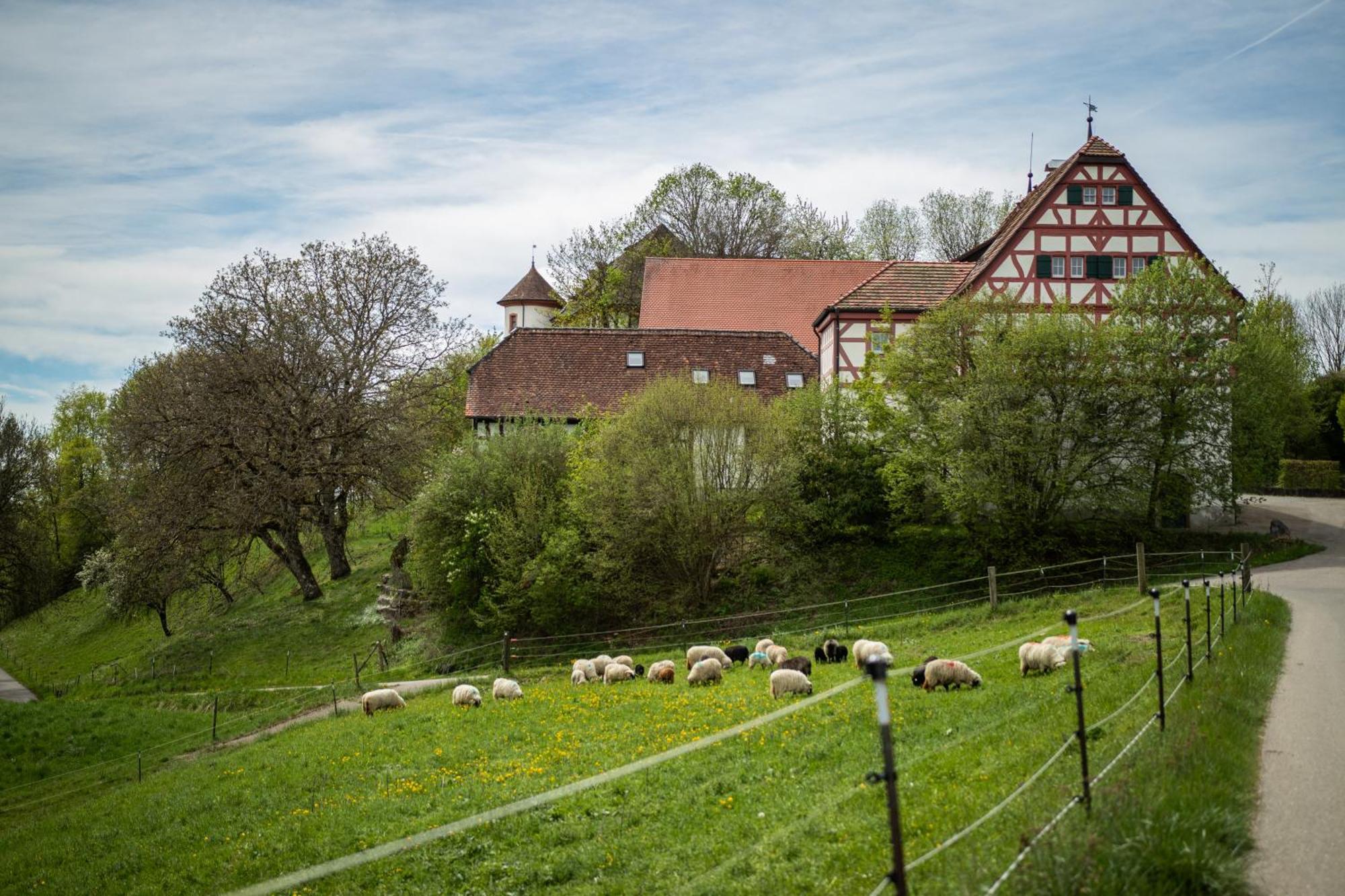 Hotel & Tagungszentrum Schloss Hohenfels Hohenfels  외부 사진
